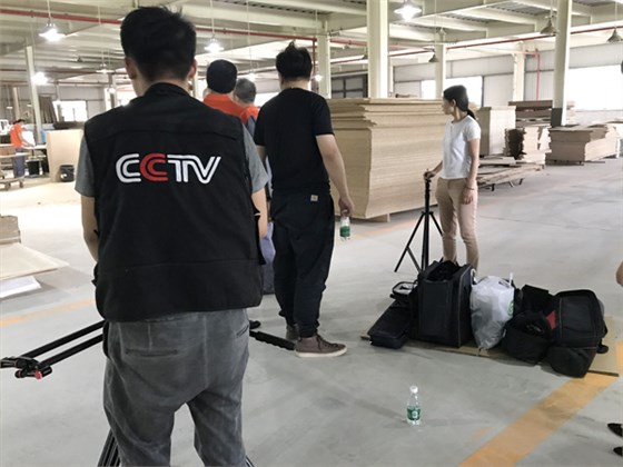 央视来沐鸣2采访拍摄