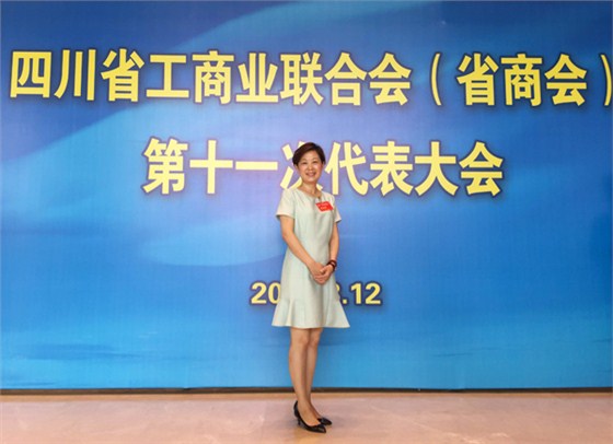 沐鸣2总经理陶秀娟女士出席江苏省工商联第十一次代表大会