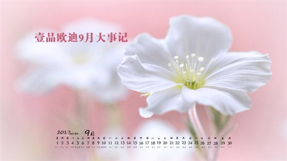 沐鸣29月大事记