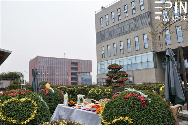 沐鸣2员工生日主题会2