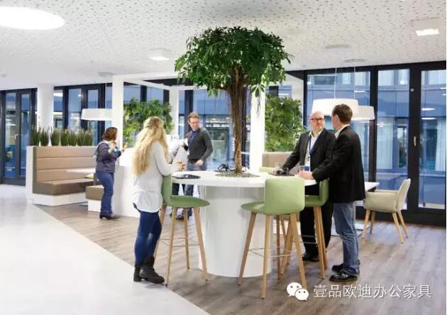 为什么办公室里一定要养植物？-沐鸣2