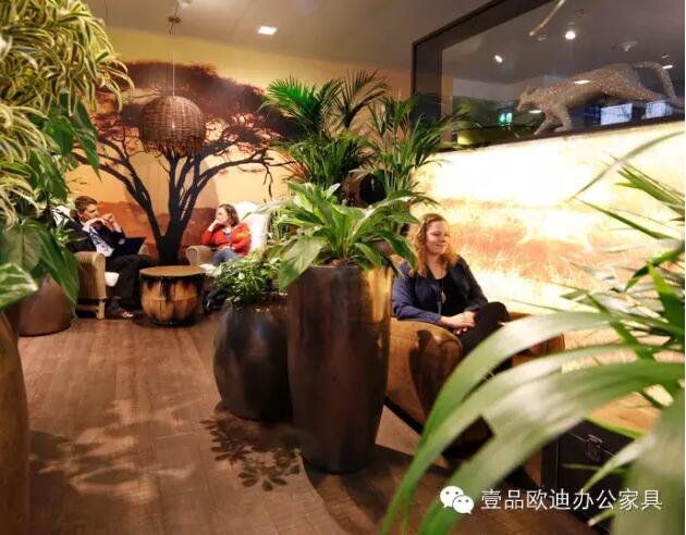 为什么办公室里一定要养植物？-沐鸣2