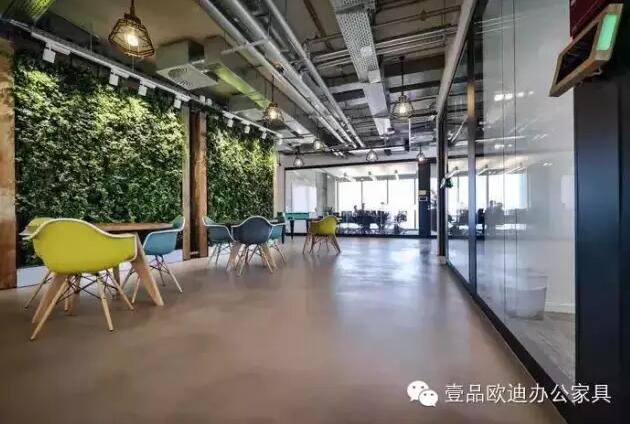 为什么办公室里一定要养植物？-沐鸣2