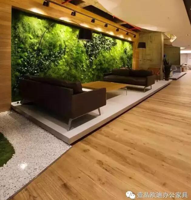 为什么办公室里一定要养植物？-沐鸣2