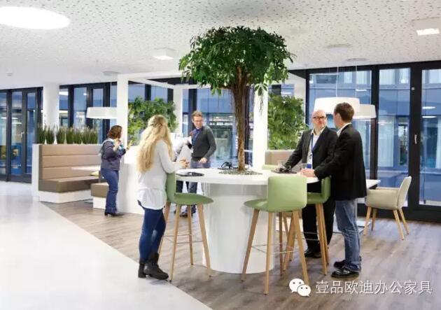 为什么办公室里一定要养植物？-沐鸣2