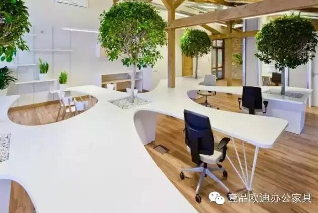 为什么办公室里一定要养植物？-沐鸣2