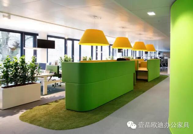 为什么办公室里一定要养植物？-沐鸣2