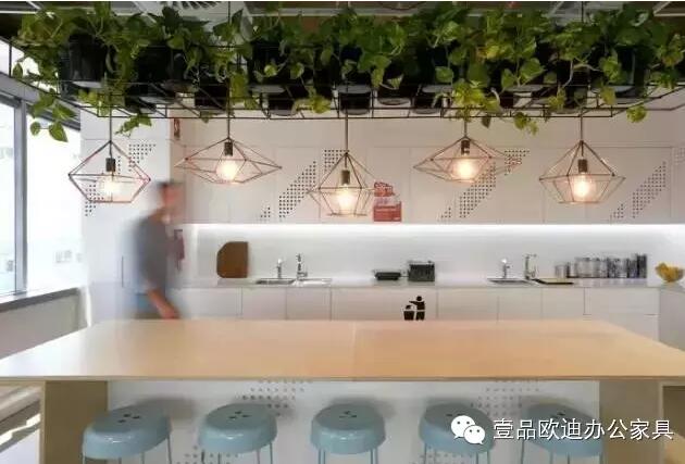 为什么办公室里一定要养植物？-沐鸣2