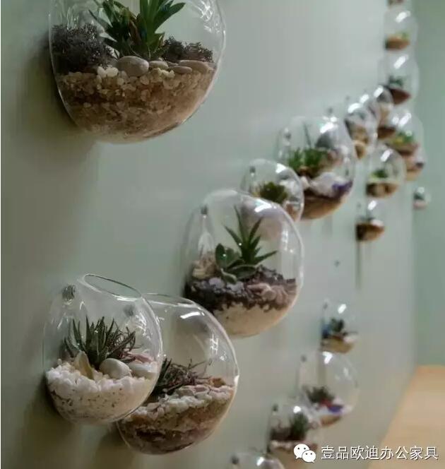 为什么办公室里一定要养植物？-沐鸣2